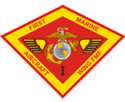 unit insignia